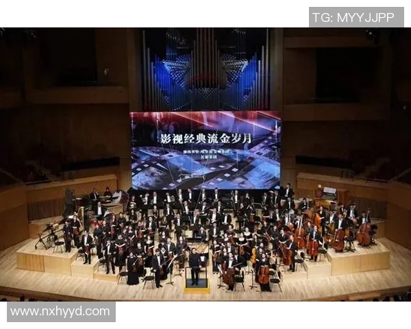 王岚的音乐旅程与人生哲学探索：从歌声中感悟生活的真谛与梦想